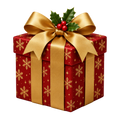 Christmas Gift Wrap