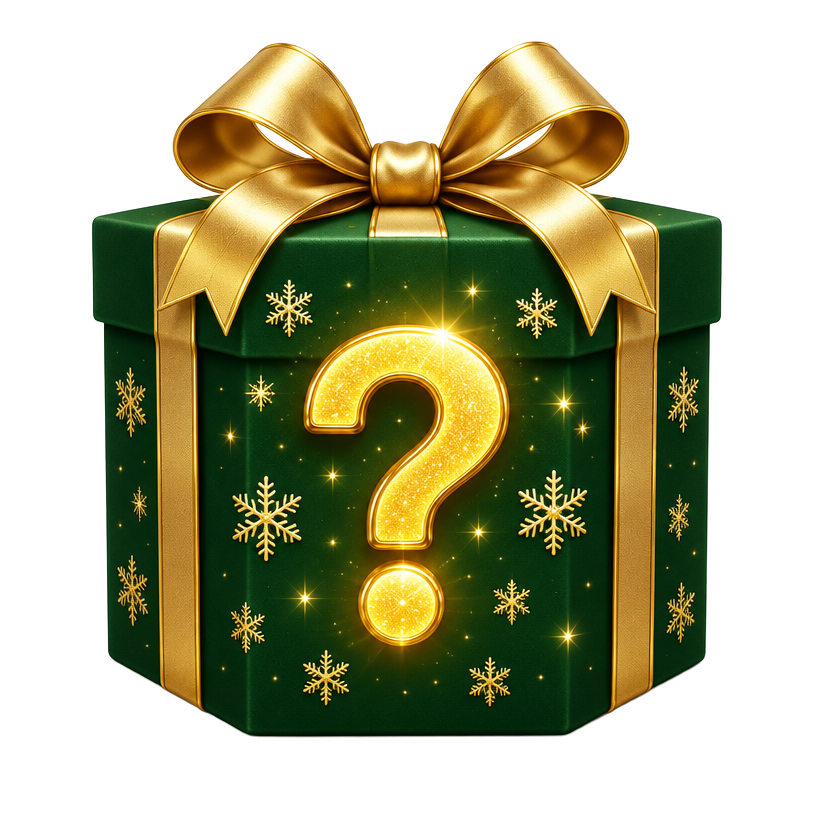 Christmas Mystery Box
